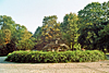 Le Brgerpark: Fontaine de St. Marc